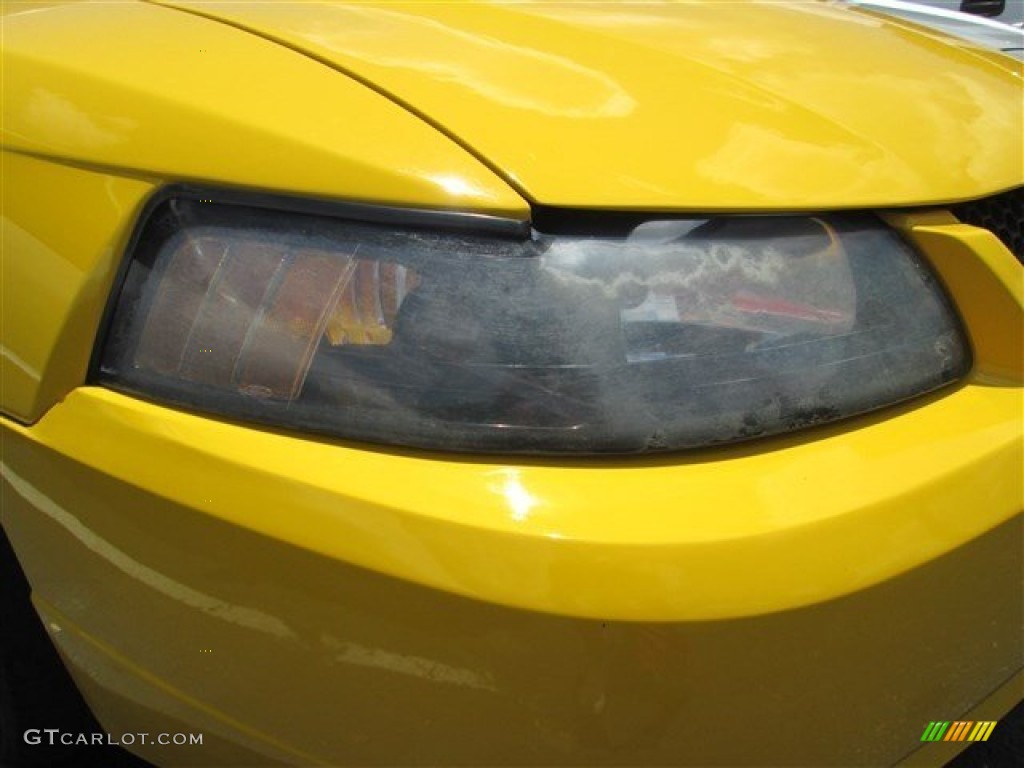 2004 Mustang V6 Coupe - Screaming Yellow / Dark Charcoal photo #3