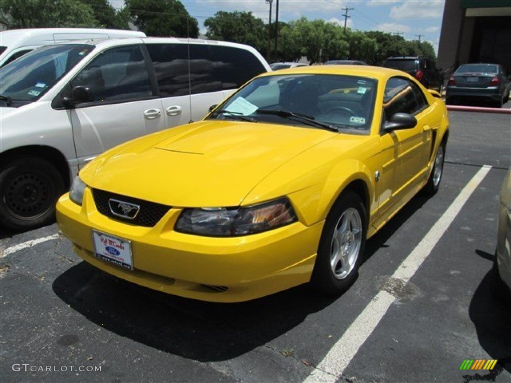 2004 Mustang V6 Coupe - Screaming Yellow / Dark Charcoal photo #5
