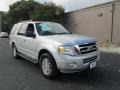 Ingot Silver Metallic 2011 Ford Expedition XLT