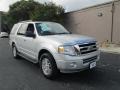 2011 Ingot Silver Metallic Ford Expedition XLT  photo #1