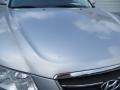 Bright Silver - Sonata Limited V6 Photo No. 10
