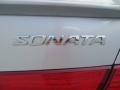 Bright Silver - Sonata Limited V6 Photo No. 16