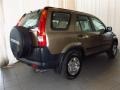 2004 Mojave Mist Metallic Honda CR-V LX  photo #3