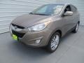 2013 Chai Bronze Hyundai Tucson Limited  photo #7