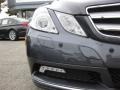 2010 Steel Grey Metallic Mercedes-Benz E 350 Coupe  photo #23