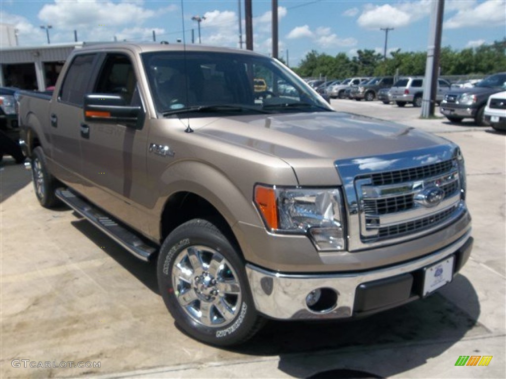 2013 F150 XLT SuperCrew - Pale Adobe Metallic / Adobe photo #8