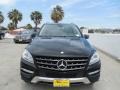 Black - ML 350 4Matic Photo No. 1