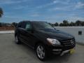 Black - ML 350 4Matic Photo No. 2