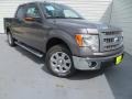 Sterling Gray Metallic - F150 XLT SuperCrew Photo No. 2