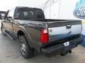 Tuxedo Black Metallic - F250 Super Duty Platinum Crew Cab 4x4 Photo No. 4