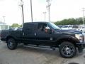 Tuxedo Black Metallic - F250 Super Duty Platinum Crew Cab 4x4 Photo No. 6