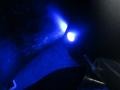 Cosmic Blue Metallic - Outlander Sport SE Photo No. 29