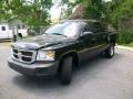 Brilliant Black - Dakota ST Crew Cab Photo No. 7