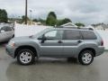 Satin Meisai Pearl 2008 Mitsubishi Endeavor LS AWD Exterior