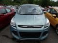 2013 Frosted Glass Metallic Ford Escape SEL 2.0L EcoBoost 4WD  photo #2