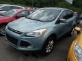 2013 Frosted Glass Metallic Ford Escape SEL 2.0L EcoBoost 4WD  photo #3