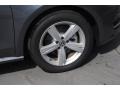 2013 Platinum Gray Metallic Volkswagen Passat TDI SEL  photo #9