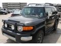 Black Diamond - FJ Cruiser 4WD Photo No. 3