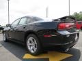 Pitch Black - Charger SE Photo No. 5