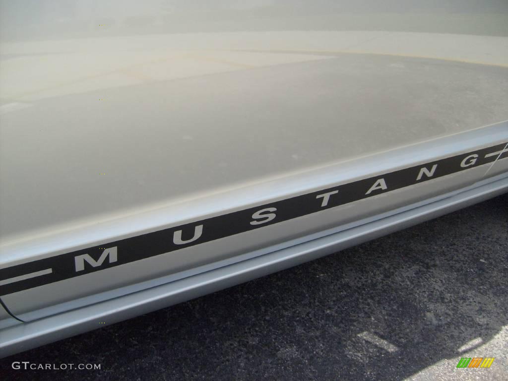 2006 Mustang GT Premium Coupe - Satin Silver Metallic / Light Parchment photo #13