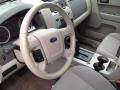  2010 Escape XLT 4WD Steering Wheel