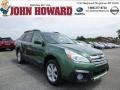 2014 Cypress Green Pearl Subaru Outback 3.6R Limited  photo #1