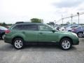 2014 Cypress Green Pearl Subaru Outback 3.6R Limited  photo #2