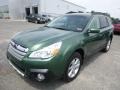 2014 Cypress Green Pearl Subaru Outback 3.6R Limited  photo #7