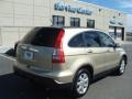 Borrego Beige Metallic - CR-V EX-L 4WD Photo No. 4