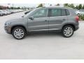 Pepper Gray Metallic - Tiguan SE Photo No. 5