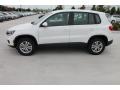 Candy White - Tiguan S Photo No. 5