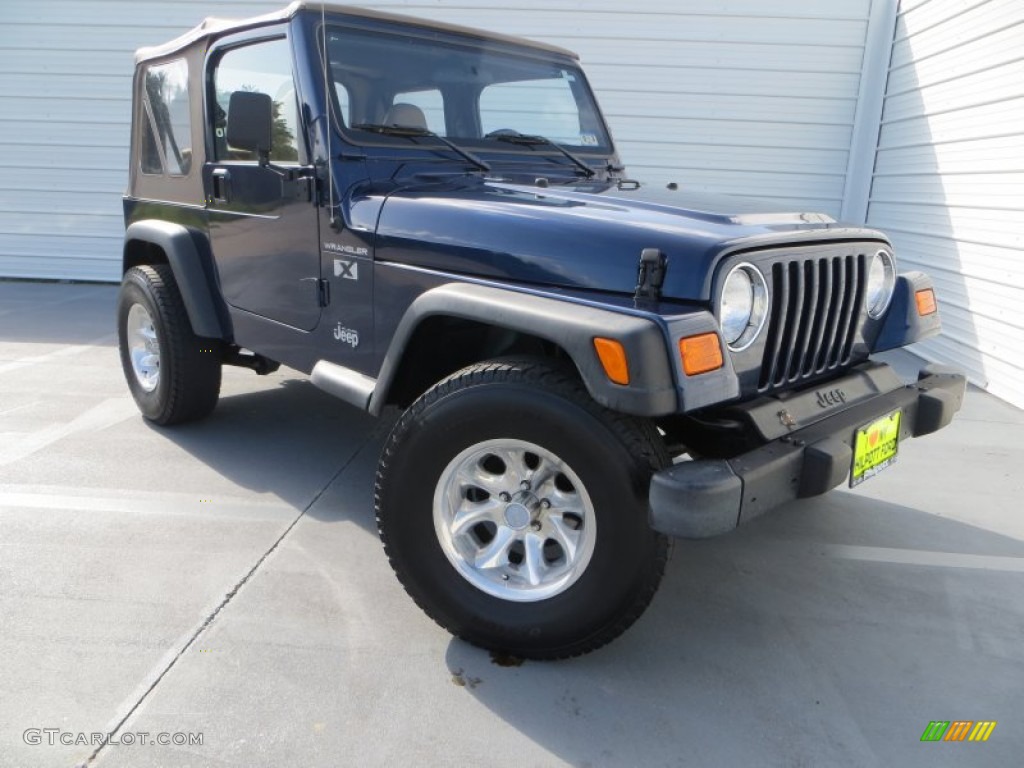 2002 Wrangler X 4x4 - Black / Camel Beige photo #1
