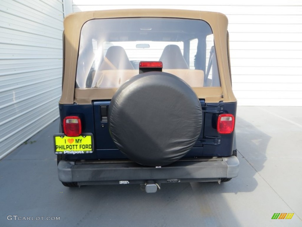 2002 Wrangler X 4x4 - Black / Camel Beige photo #5