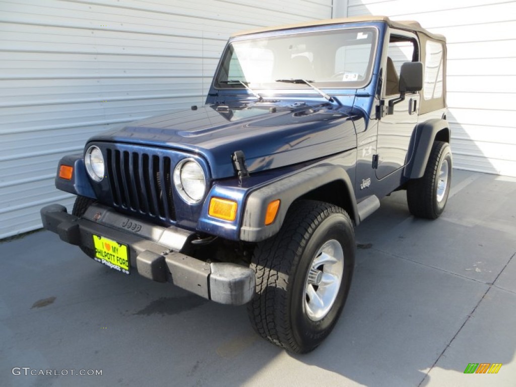 2002 Wrangler X 4x4 - Black / Camel Beige photo #7