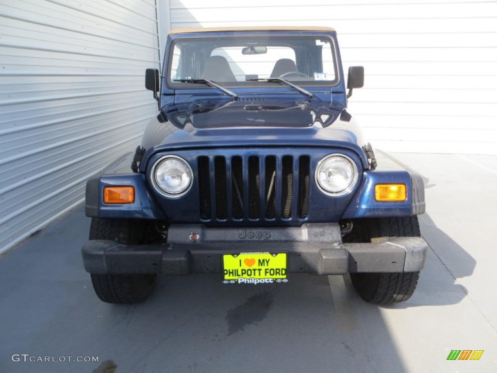 2002 Wrangler X 4x4 - Black / Camel Beige photo #8