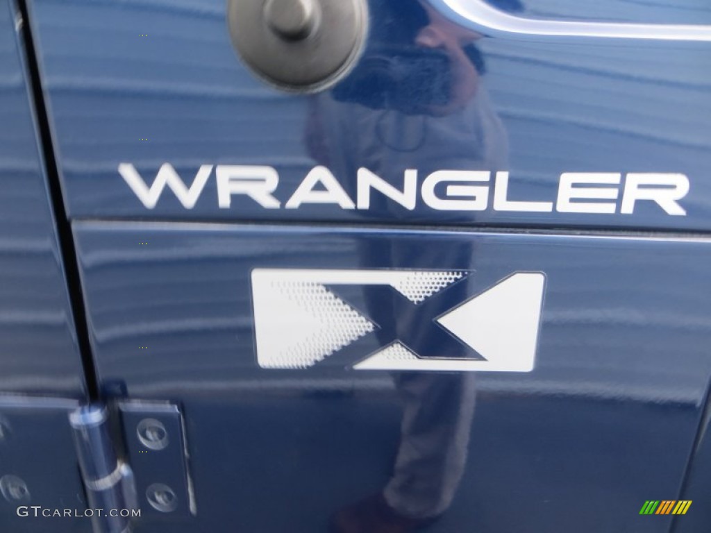 2002 Wrangler X 4x4 - Black / Camel Beige photo #15