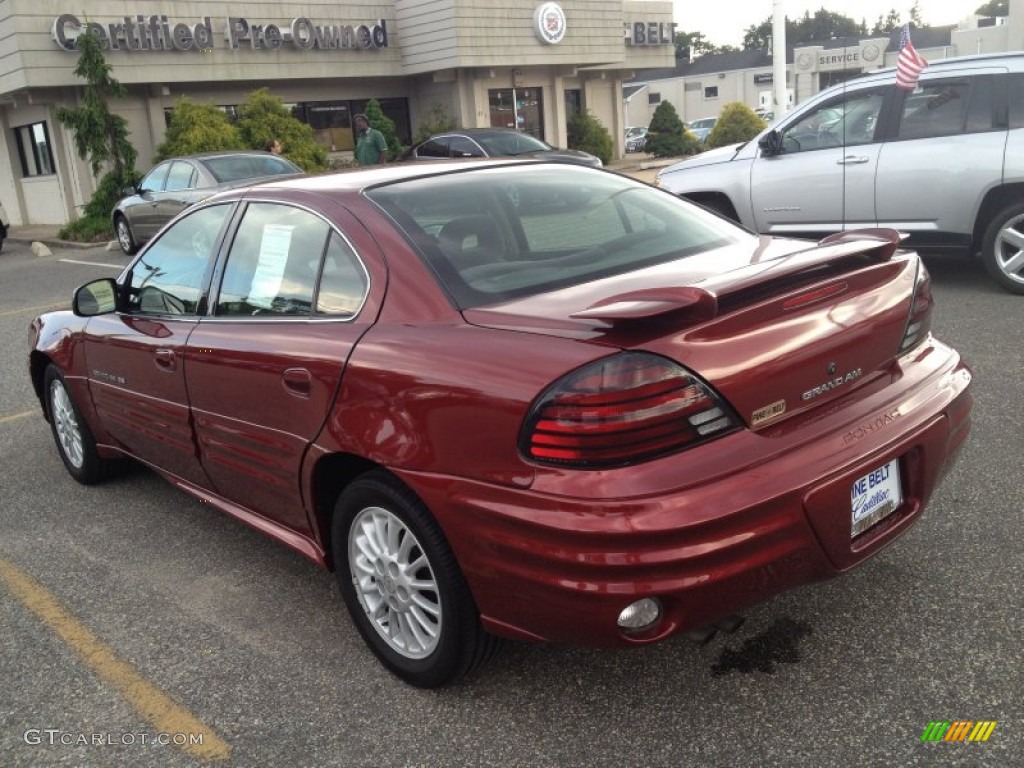 2000 Grand Am SE Sedan - Redfire Metallic / Dark Pewter photo #5