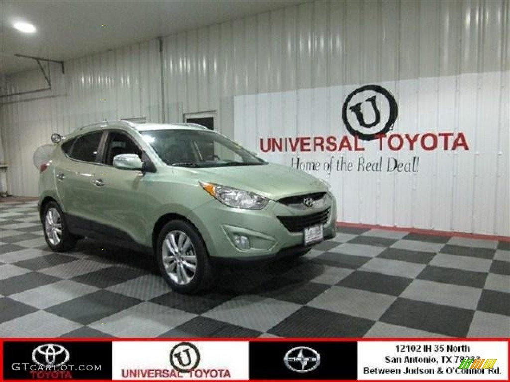 2011 Tucson Limited - Kiwi Green / Taupe photo #1