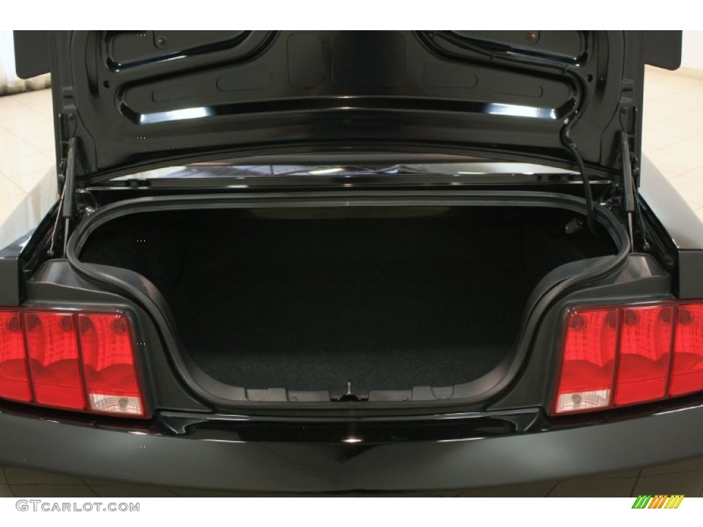 2007 Mustang V6 Deluxe Convertible - Black / Dark Charcoal photo #16