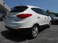 2010 Cotton White Hyundai Tucson Limited  photo #7