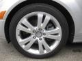 Iridium Silver Metallic - C 300 Luxury Photo No. 24