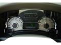 Camel Gauges Photo for 2013 Ford Expedition #82195154