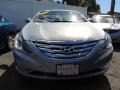 Iridescent Silver Blue Metallic - Sonata SE Photo No. 2