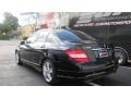 Obsidian Black Metallic - C 300 Luxury Photo No. 8
