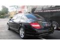 2010 Obsidian Black Metallic Mercedes-Benz C 300 Luxury  photo #8