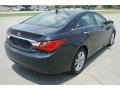 2011 Black Plum Pearl Hyundai Sonata Limited  photo #5