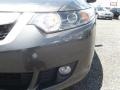 Grigio Metallic - TSX Sedan Photo No. 39