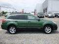 Cypress Green Pearl 2014 Subaru Outback 2.5i Limited Exterior