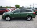 Cypress Green Pearl 2014 Subaru Outback 2.5i Limited Exterior