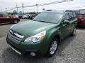 Cypress Green Pearl 2014 Subaru Outback 2.5i Limited Exterior